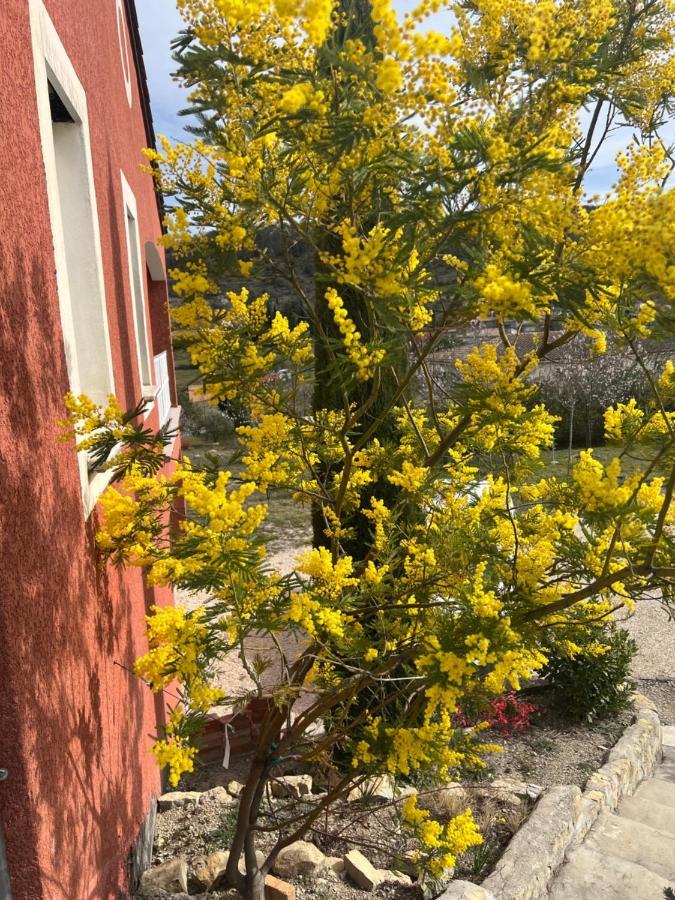 Le Gite Du Vigneron Lagorce  Exterior foto